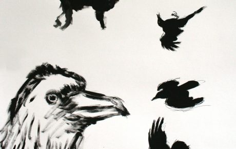 Crow Studies